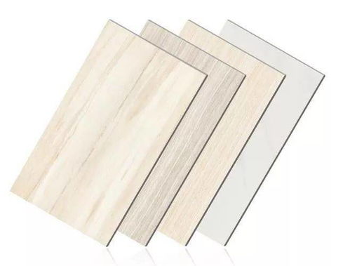 陶瓷薄板一体板 保温板领域的全方位重点推介